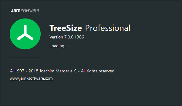 Treesize Pro破解版