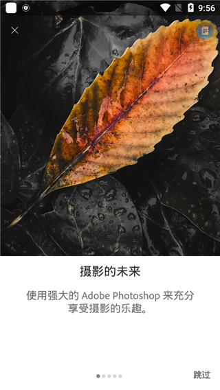 Lightroom手机版