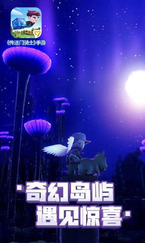 传送门骑士破解版