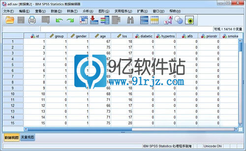 IBM SPSS Statistics破解版