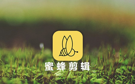 蜜蜂剪辑电脑版