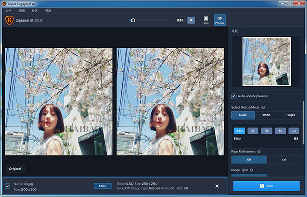 Topaz Gigapixel AI中文破解版