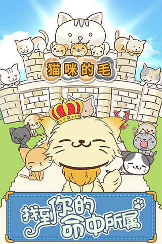 猫咪的毛中文版
