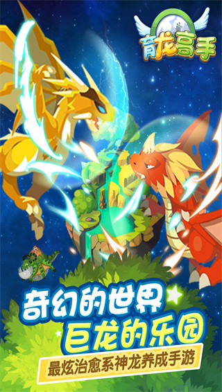 育龙高手华为版